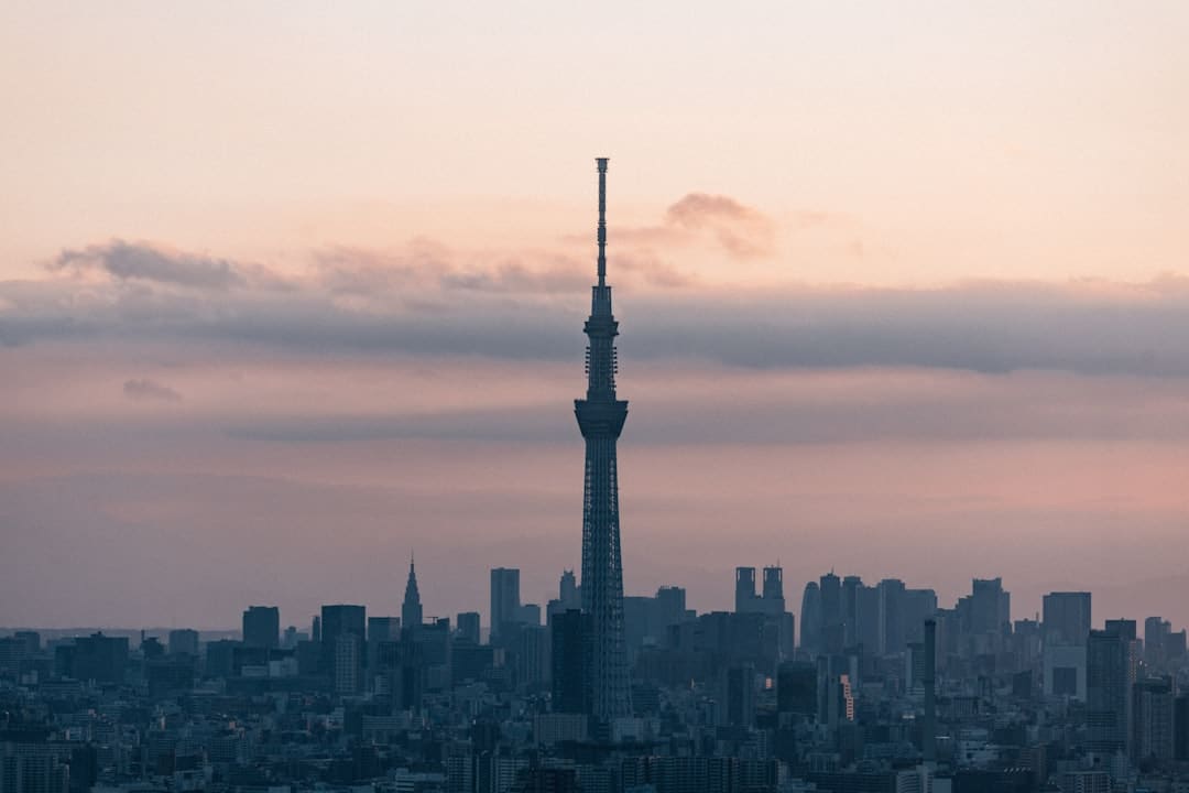 从外贸看中国经济耐性